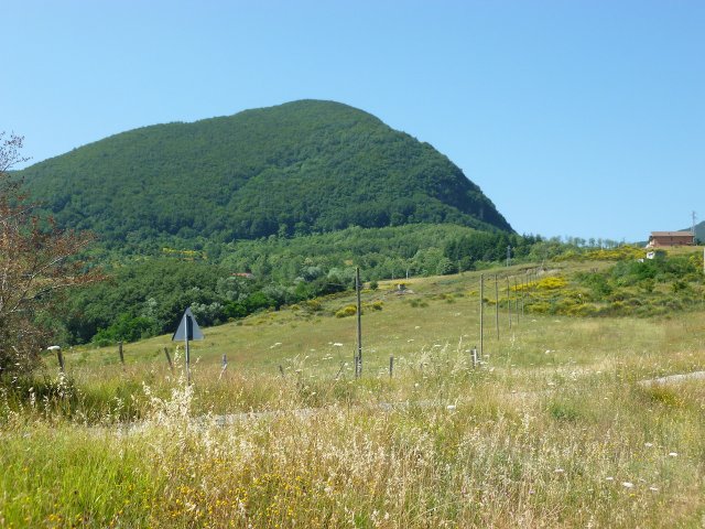 produzione miele castagno 2015 - loc .Pierno